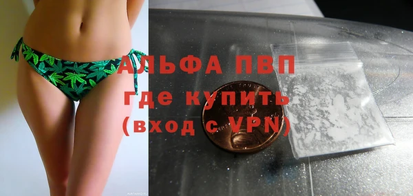 прущие грибы Зеленокумск