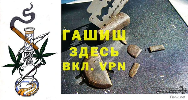 гидра Богородск