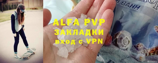гидра Богородск