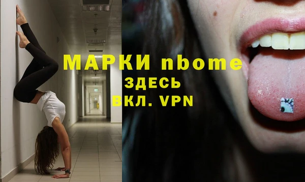метадон Богданович