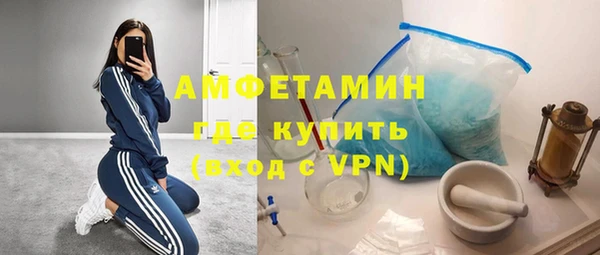 метадон Богданович
