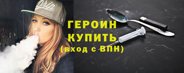 гидра Богородск