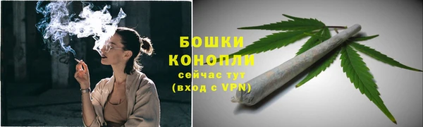 гидра Богородск