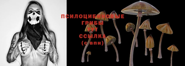 apvp Богородицк