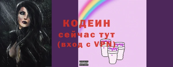 метадон Богданович
