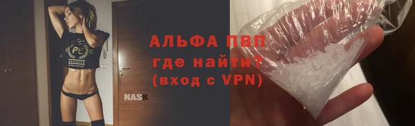 метадон Богданович