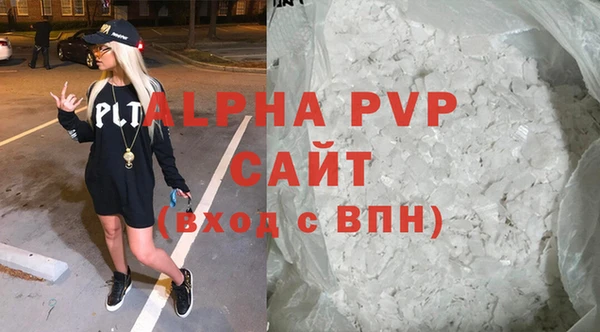 гидра Богородск