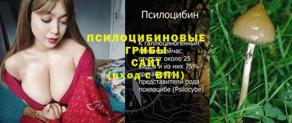 гидра Богородск