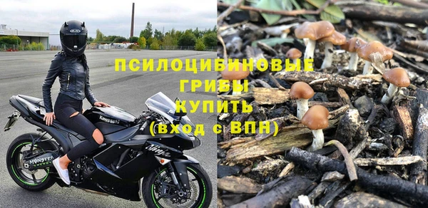 apvp Богородицк