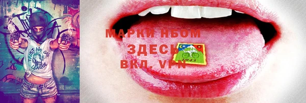 гидра Богородск