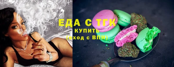 гидра Богородск