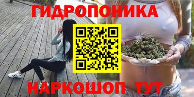 прущие крисы Рузаевка