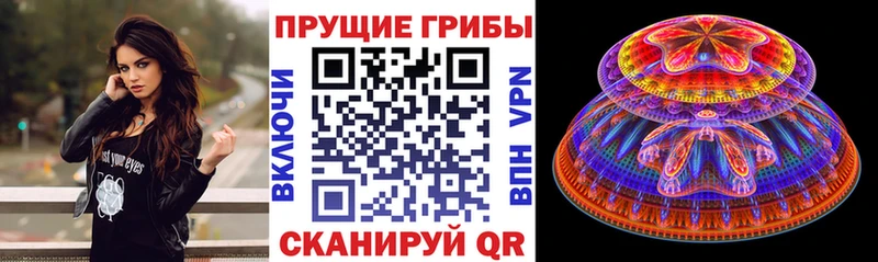 Галлюциногенные грибы GOLDEN TEACHER  mega как зайти  Славгород 