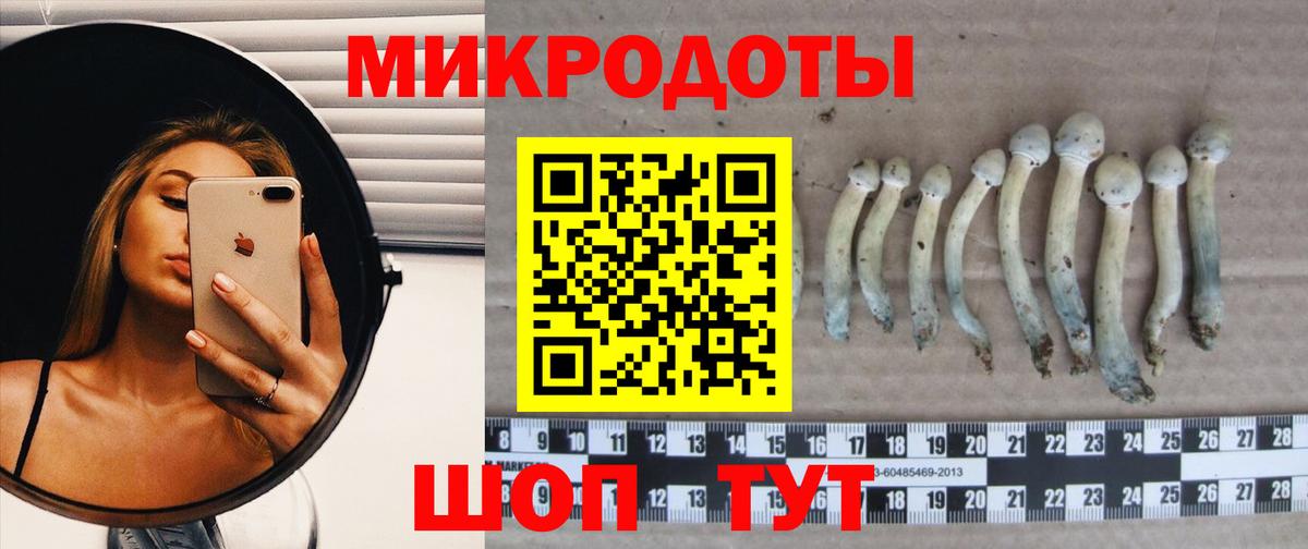 Галлюциногенные грибы прущие грибы  Вход с VPN  Славгород 