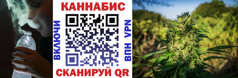 что такое   Славгород  Бошки марихуана Amnesia 
