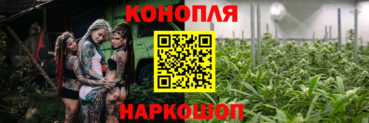МАРИХУАНА семена  Бошки Шишки VHQ  Каннабис конопля  Славгород  Вход с VPN 